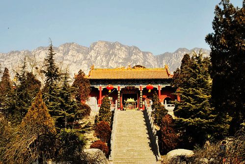 天:大法王寺