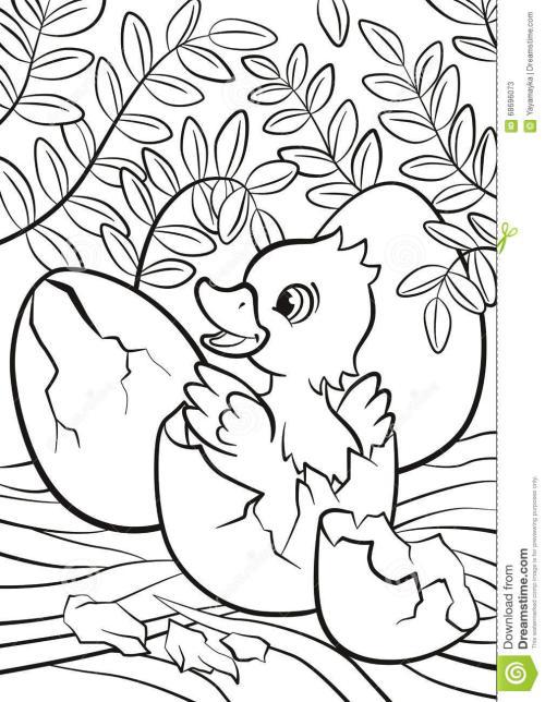蛋孵的动物简笔画