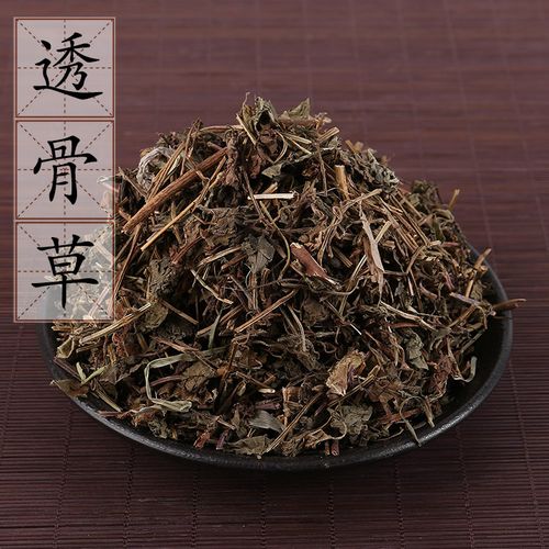 中药珍珠草|中药珍珠草别名|中药珍珠 - 中药珍珠图片