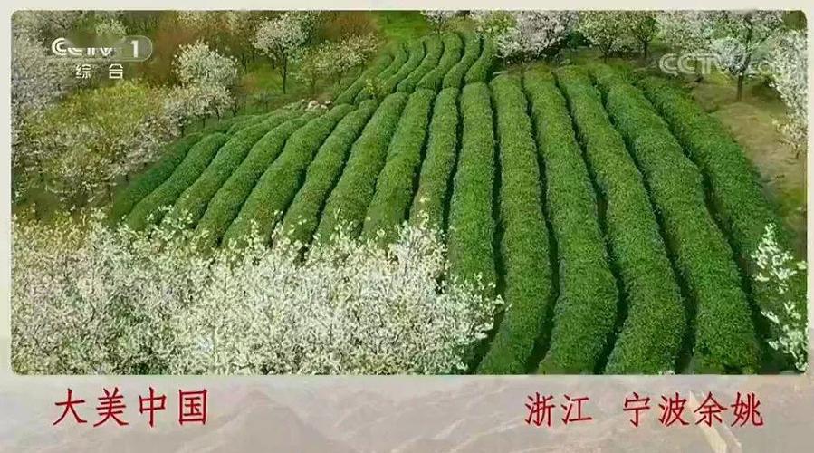 大美余姚亮相央视一套!_中央电视台