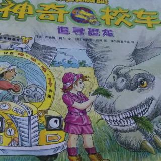 神奇校车