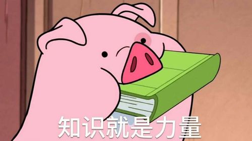 知识就是力量搞笑表情分享