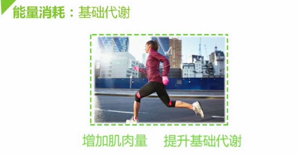 增加基础代谢途径是增加肌肉量