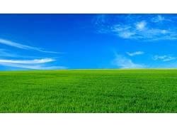 蓝天与绿色草坪高清壁纸