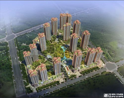 华信城市海悦团购专场首场完美举办-湛江房讯网