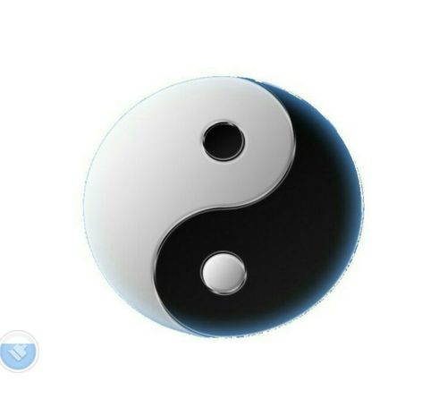 阴阳之由来与中气之由来