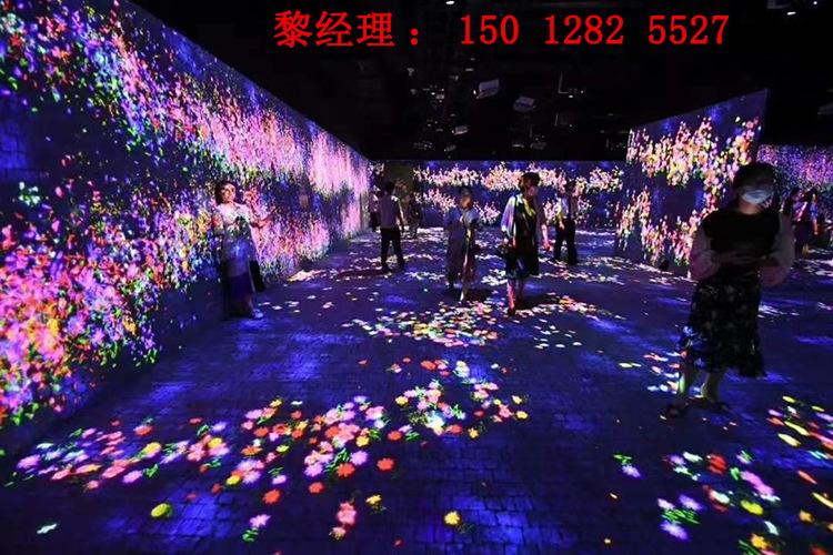 全息投影 地面互动 沉浸式空间 多媒体展项 户外投影