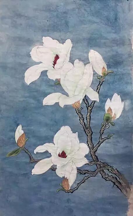 玉兰花