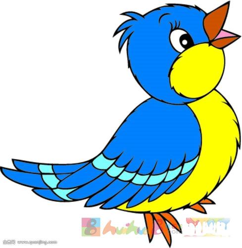 卡通鸟图片简笔画彩色