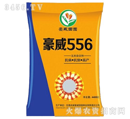 最新国审玉米种子-豪威556-龙大种业