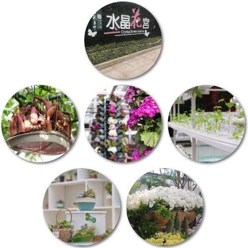 游客走进水晶花宫,就像刘姥姥进大观园,感受农业现代化别有一番洞天.
