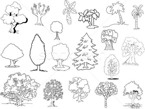 商业照片: 漫画 ·树·树· 春天 ·草· 森林