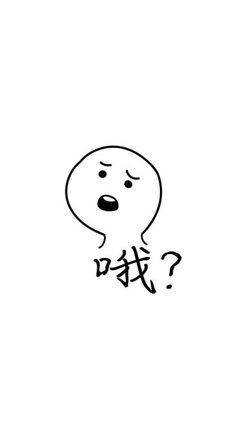 衰衰日志