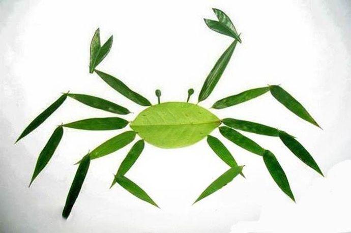 树叶贴画
