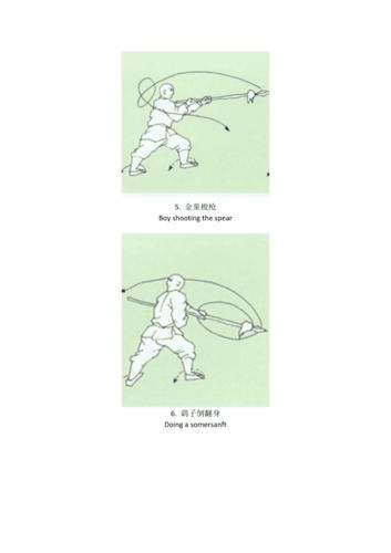 少林梅花枪(套路图解)