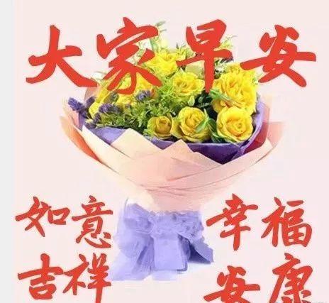 6月27日清晨问候大家早上好的鲜花表情图片,早晨好问候语暖心句子
