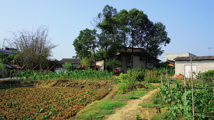 五月的乡村风景