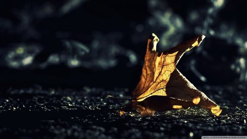 思念一个人的伤感句子,精辟入骨,闻者伤心听者落泪