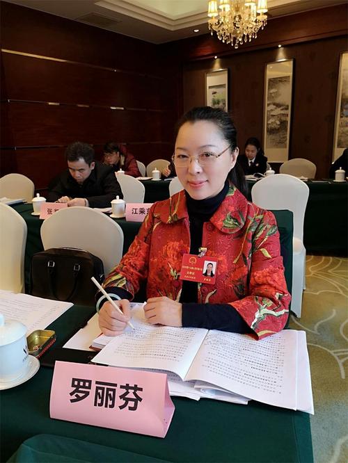 唐人万寿园罗丽芬董事长出席长沙市第十五届人民代表大会第四次会议