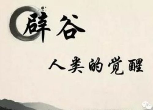 其它 和风细语新郑2019首期线下见面圆满成功  辟谷一一你学不学,它