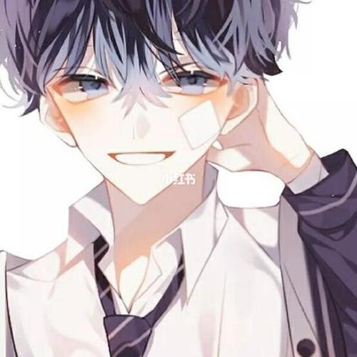 伊戈尔--安颖翷-查理九世之羽之忆,令人心碎