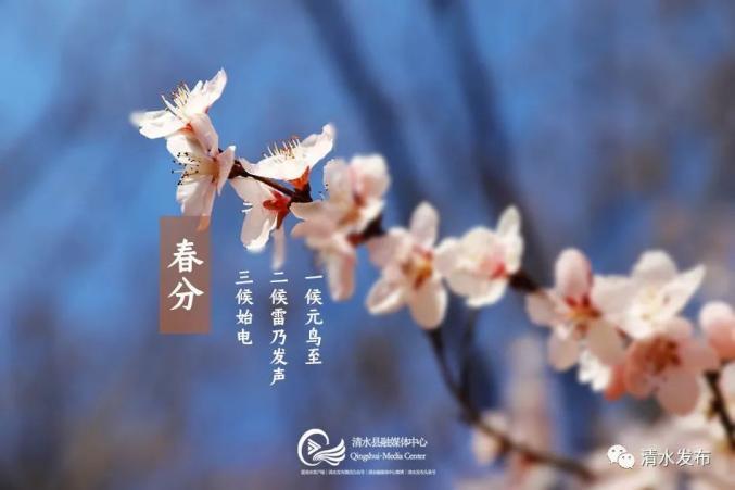 春分三侯:一候玄鸟至,二候雷乃发生,三候始电.