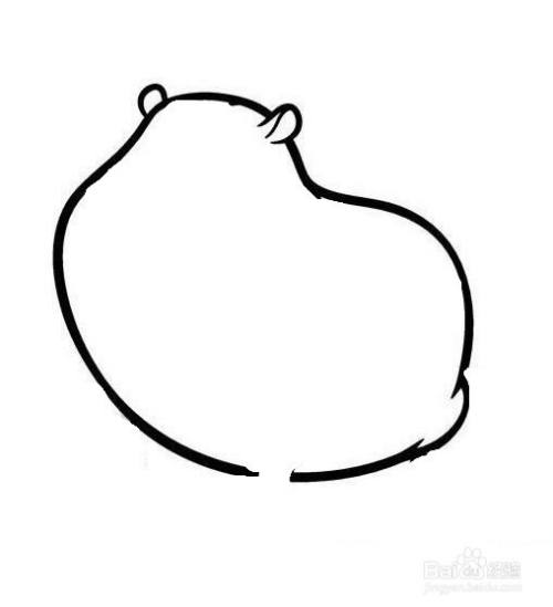 胖胖的豚鼠的简笔画