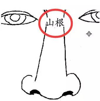 山根夫妻座有痣看命运