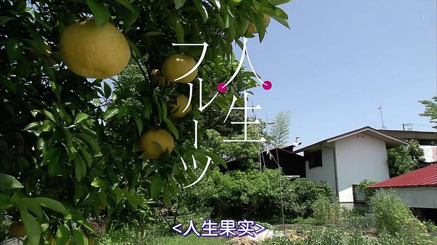 纸条放映室 | 纪录片《人生果实》:缓慢而坚定的,存积