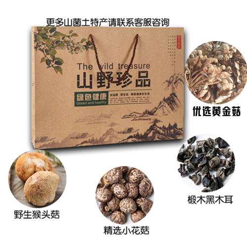 山珍野生蘑菇礼盒盒装河南洛阳嵩县土特产干菌其它干货