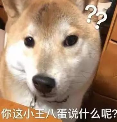 最沙雕狗子表情包搞笑狗狗沙雕图片集合