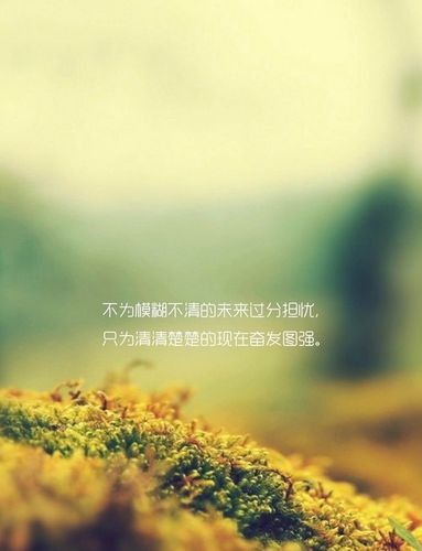 有意境的励志文字唯美带字图片