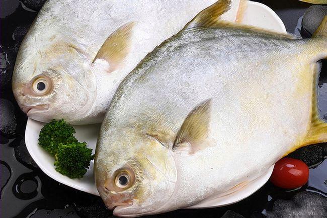 肉质最鲜嫩的7种鱼,营养鲜美鱼刺少,小孩常吃,强健体质