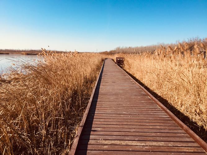 【今日中国】2018天津津西郊野公园〔二