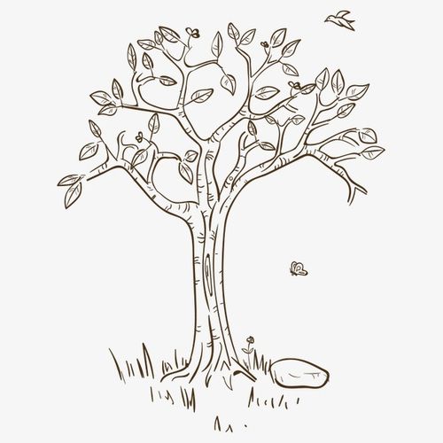 搜图中国提供独家原创手绘树 树木下载,此素材图片已被下载72次,被