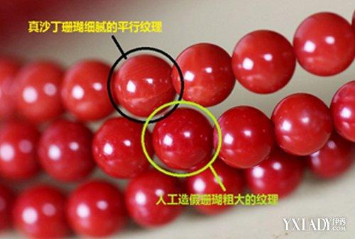 泥沙俱下,让人真假辨别,因此选购红珊瑚饰品,学会怎么鉴别则是必不可