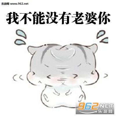 仓鼠老公道歉表情包