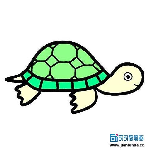 乌龟简笔画彩色_可可简笔画