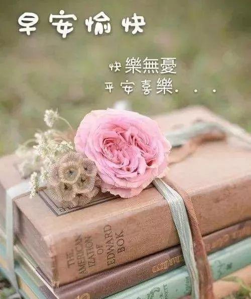 敏香梅 十四,记得早起,努力追逐第一缕阳光 那叫你可以勇敢