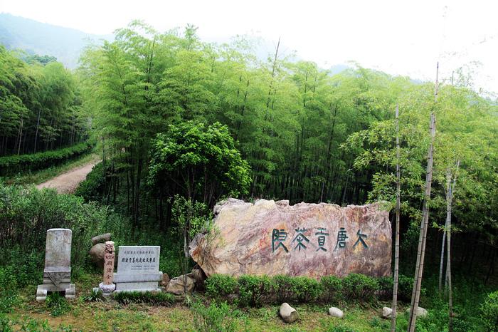 【 大唐贡茶院摄影图片】浙江长兴风光摄影_feiming