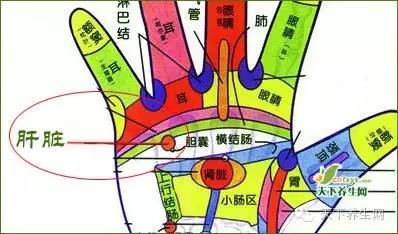乳腺增生的手部按摩法简单有效你该知道