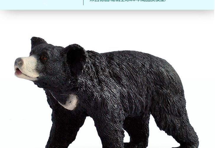 【科普限量版】正品德国思乐 懒熊 黑熊 野生动物模型玩具14779_7折