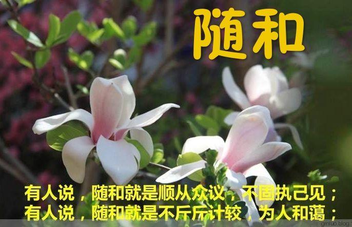 文字秧歌唱【随和】