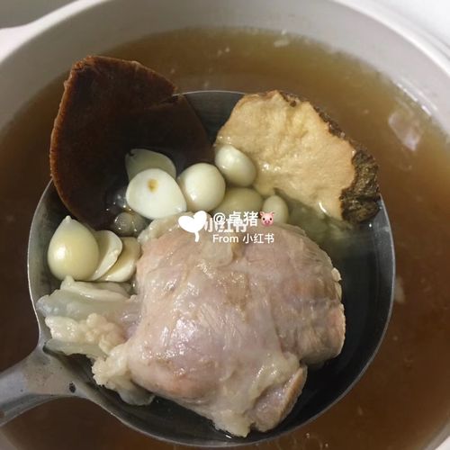 支气管炎救星虎乳菌_支气管炎_排骨_花胶_小朋友_煲汤