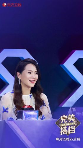 今晚《完美搭档》迎来实力唱将搭档,王琳伊能静遇感情