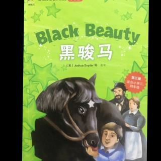 初中黑骏马英语手抄报分享展示