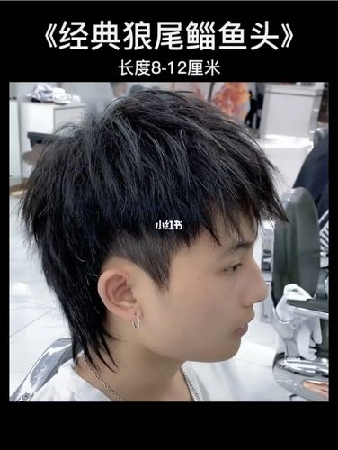 男生发型鲻鱼头,狼尾发_发型_鲻鱼头_狼尾_上海自由行
