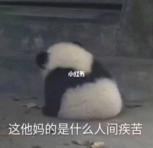 丧丧的表情包_表情包_素材_表情包