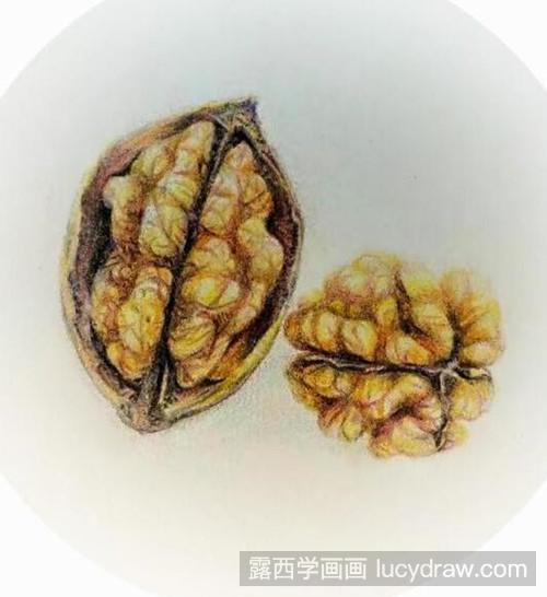 核桃彩铅画教程