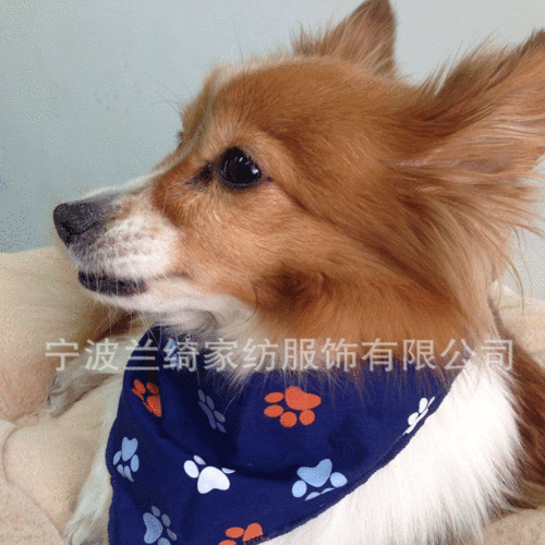 韩国宠物口水巾 狗狗三角巾围巾 狗围巾围脖 宠物三角